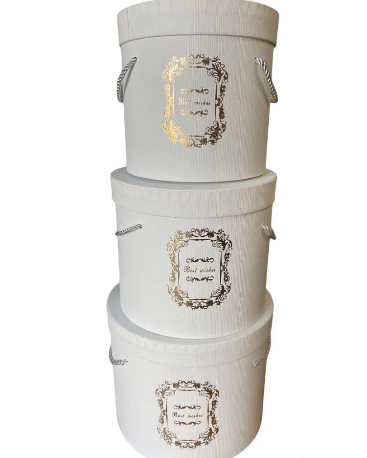 ACF306E4-EE4D-41B2-B111-7092D94782CA