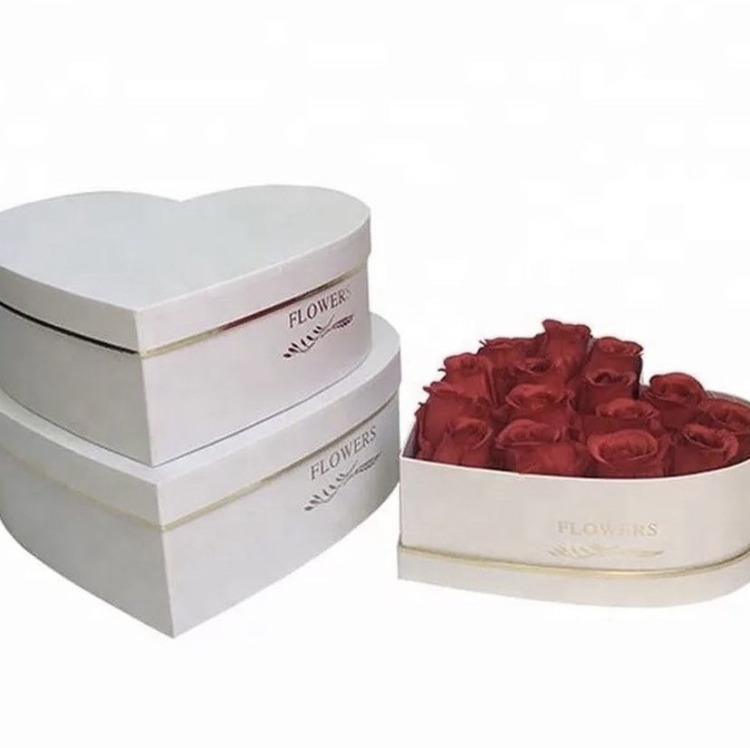 F7535C16-CA70-4CAB-BFDF-B16860FF0AB1